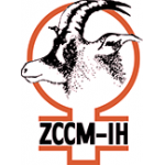 ZCCM: MARKET ANNOUNCEMENT-DELAY ON ISSUANCE OF 2020 FINANCIAL STATEMENTS