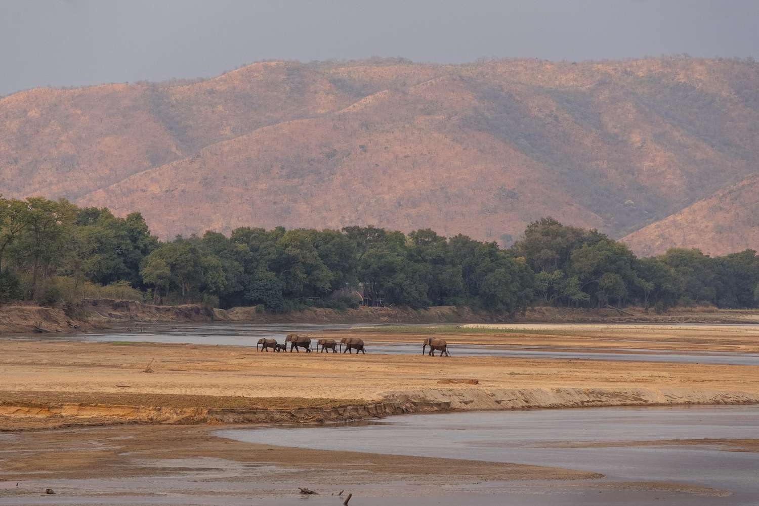 As a Black American Who Had Never Been On Safari, I Had Doubts &mdash; but a Trip to Zambia Changed My Mind